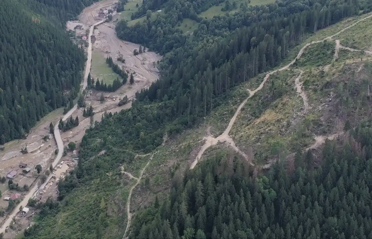 Versant exploatat, cu trasee de scos-apropiat, deasupra văii Negrei; la baza lui, drumul și casele sunt neatinse