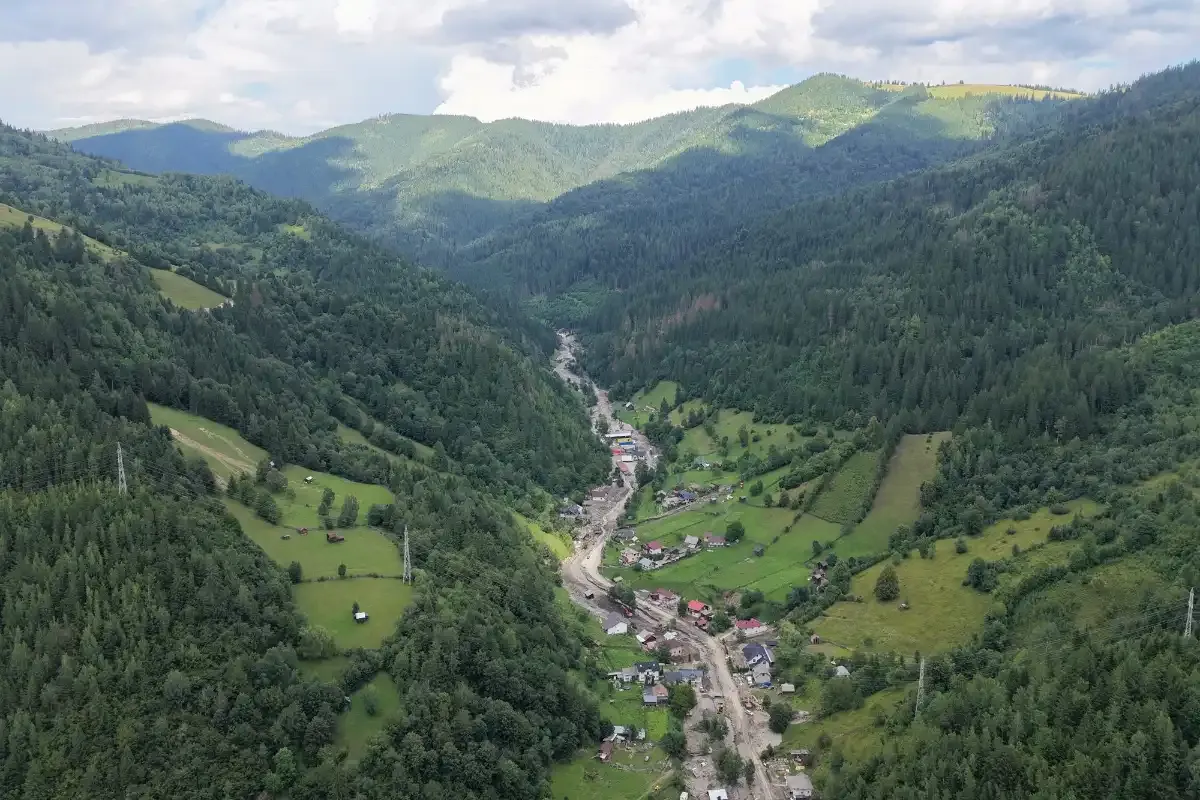 Valea Negrei în amonte: aluviunile urmează albia principală, între versanți acoperiți de pădure