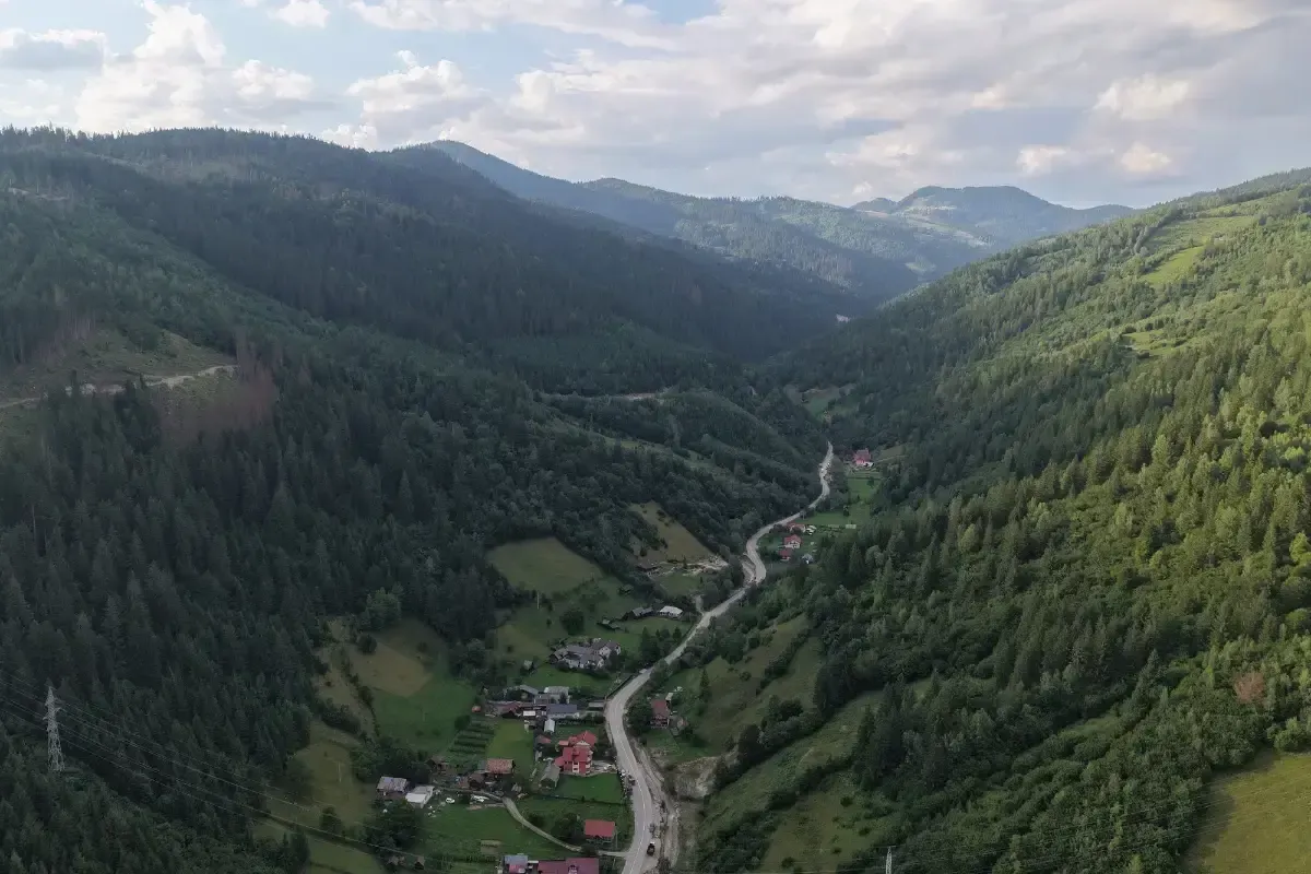 Vale laterală văzută din dronă, cu un singur drum pe fundul văii și versanți împăduriți fără drumuri de acces