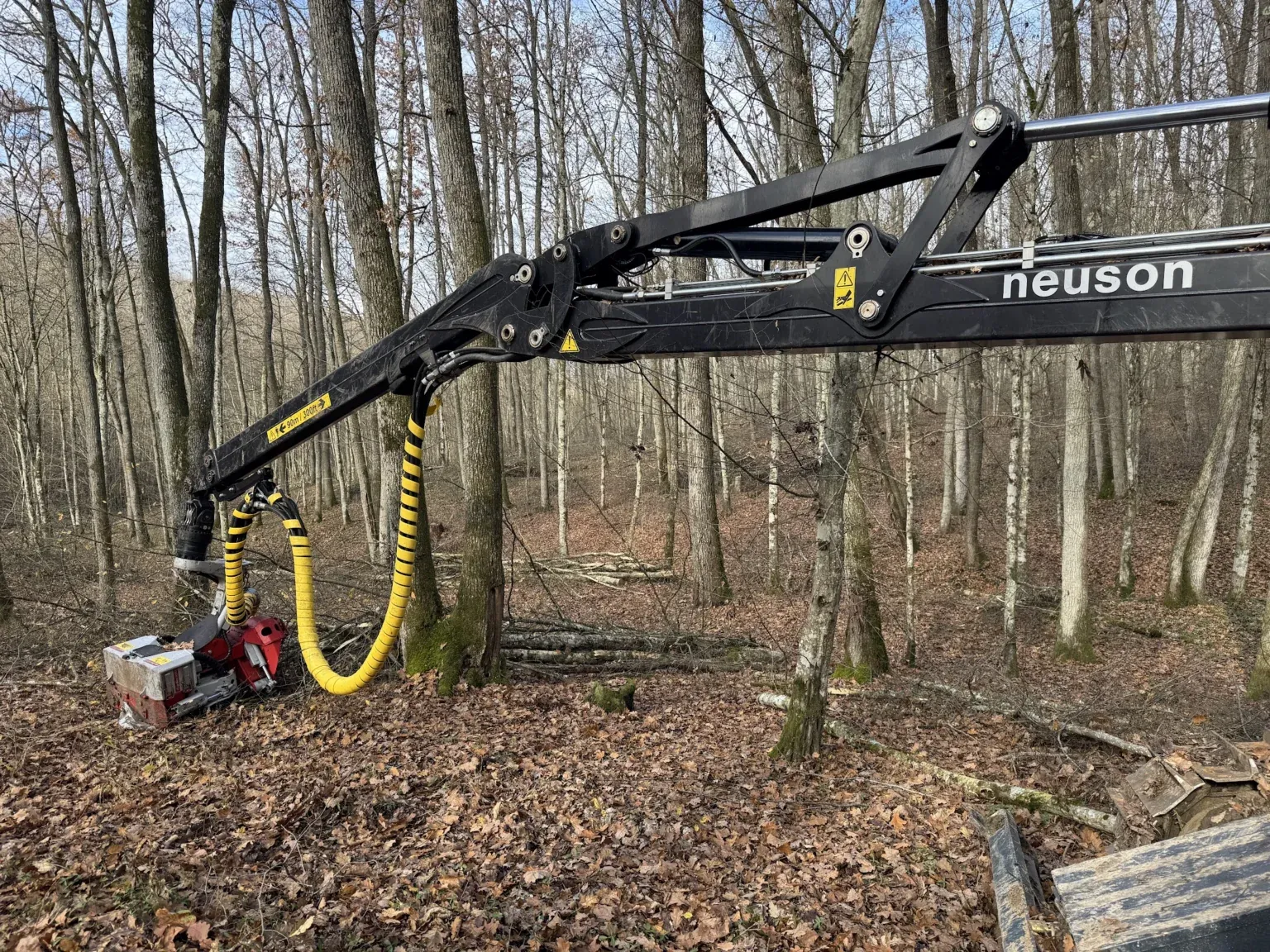 Macara forestieră hidraulică la lucru într-o pădure de foioase, toamna